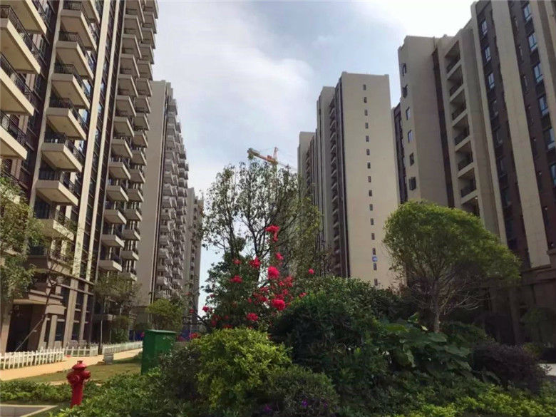 北海买房必看:合浦碧桂园玖珑湾[星汇]毛坯美宅震撼上市!