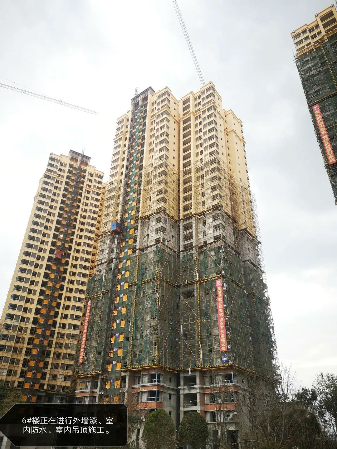 鹭岛国际新工程进度|春风送家音,共鉴美好时光-「中江房产超市」