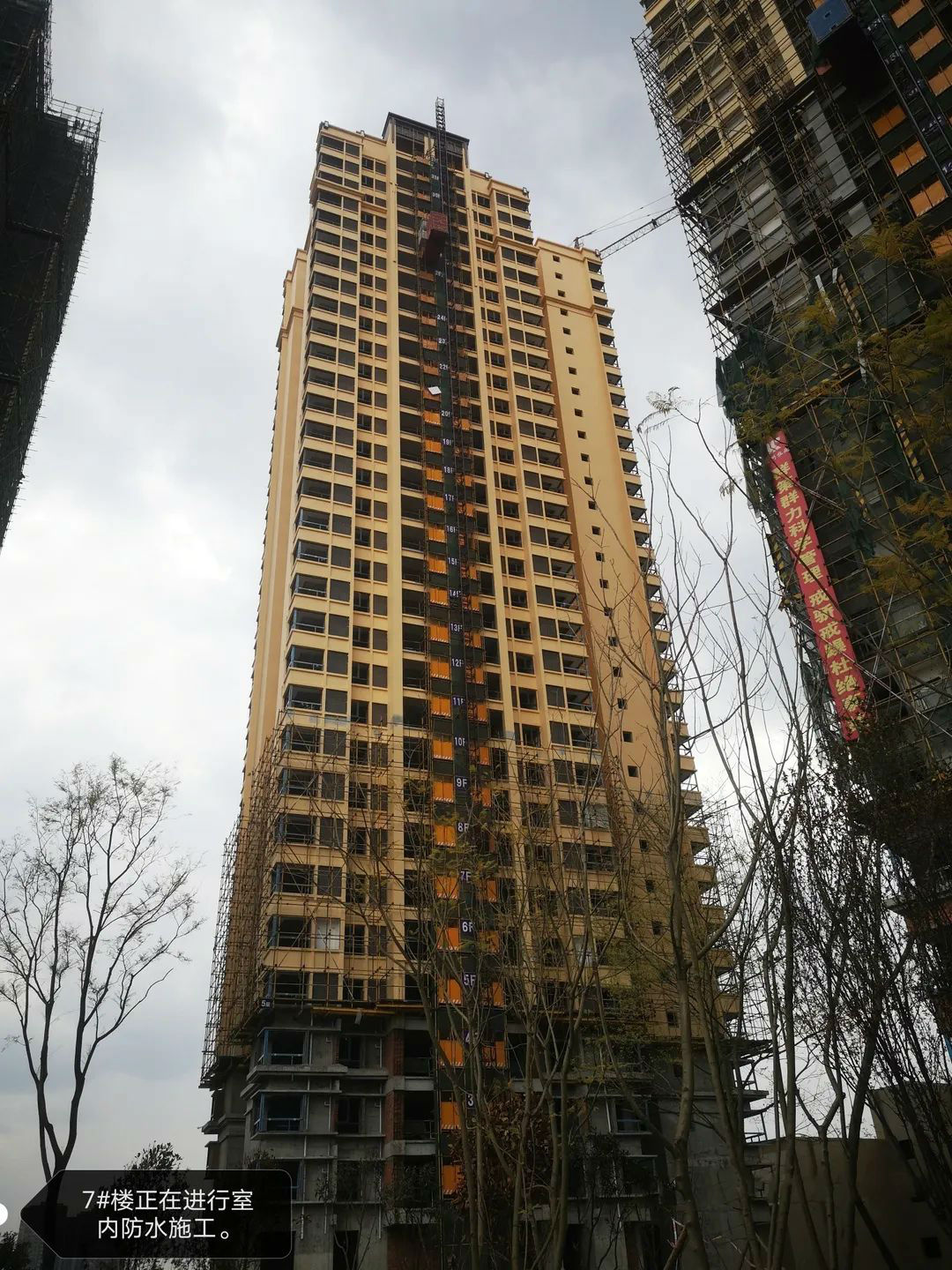 鹭岛国际新工程进度|春风送家音,共鉴美好时光-「中江房产超市」