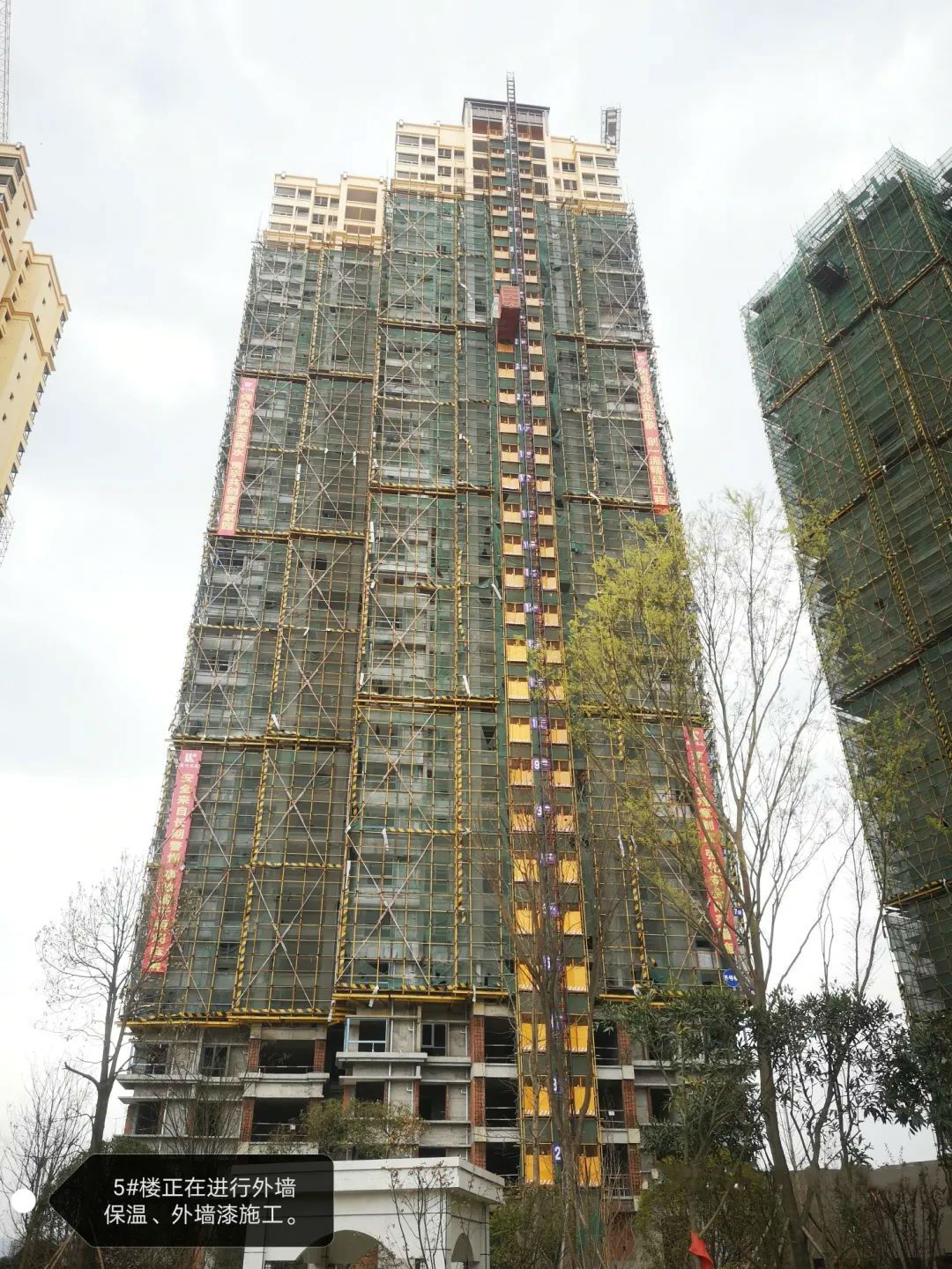 鹭岛国际新工程进度|春风送家音,共鉴美好时光-「中江房产超市」