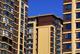 ��С����׼��ʲô��