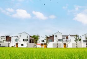 ����������ʽһ������Щ��