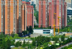 什么是“前额叶友好城市”？